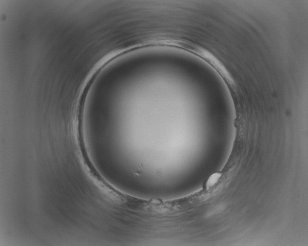 X0000051250955200506171132