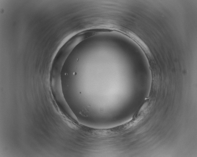 X0000051250956200506171132