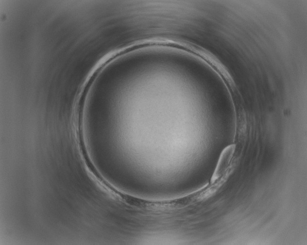 X0000051250958200506171132