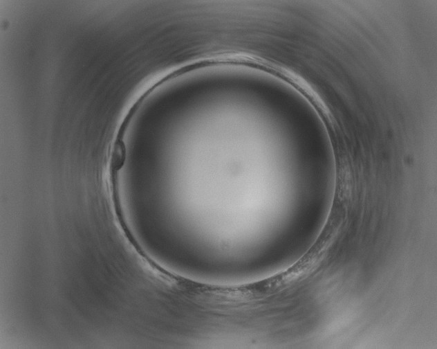 X0000051250959200506171132