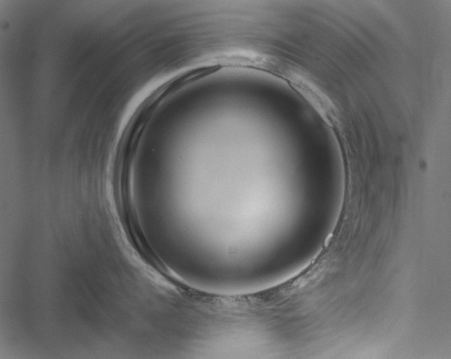 X0000051250960200506171132