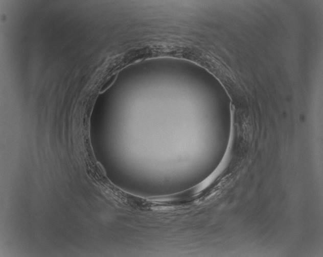 X0000051250961200506171132