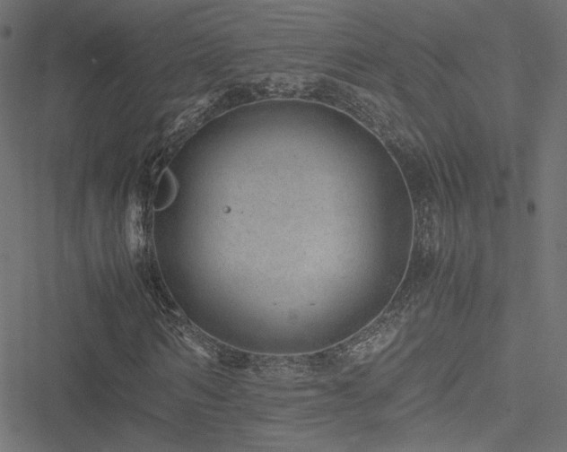 X0000051250962200506171131