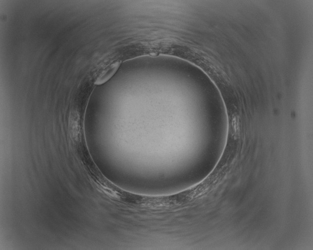 X0000051250963200506171131