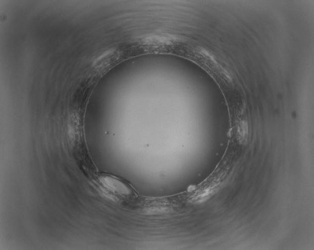 X0000051250964200506171131