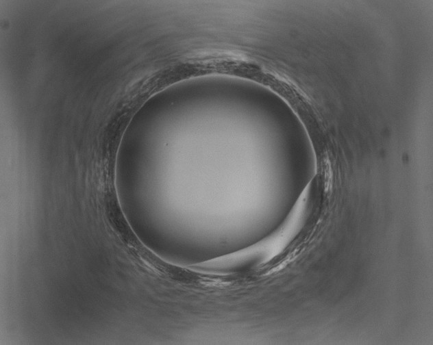 X0000051250965200506171131