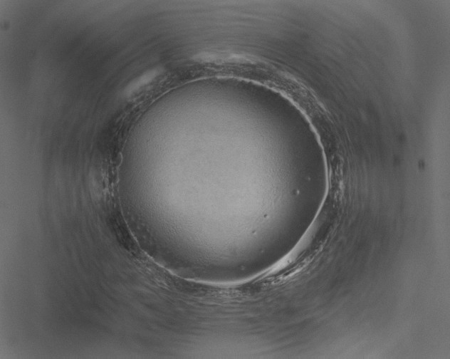 X0000051250966200506171131