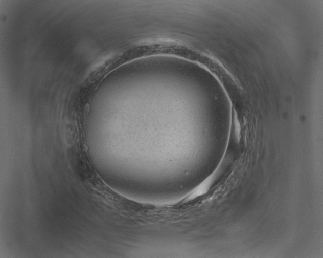 X0000051250967200506171131