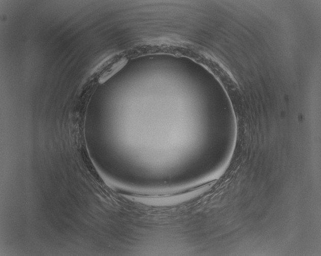 X0000051250968200506171131