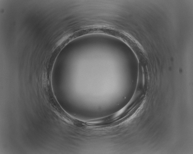 X0000051250969200506171131