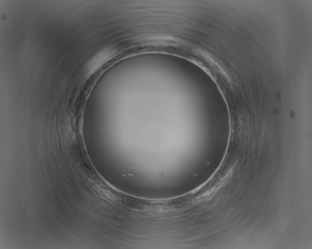 X0000051250970200506171131