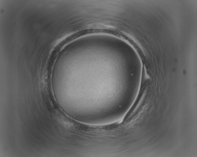 X0000051250971200506171131