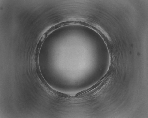 X0000051250972200506171131