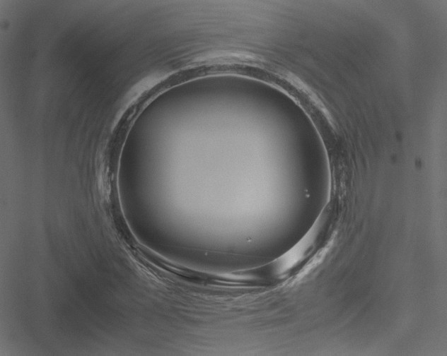 X0000051250973200506171131