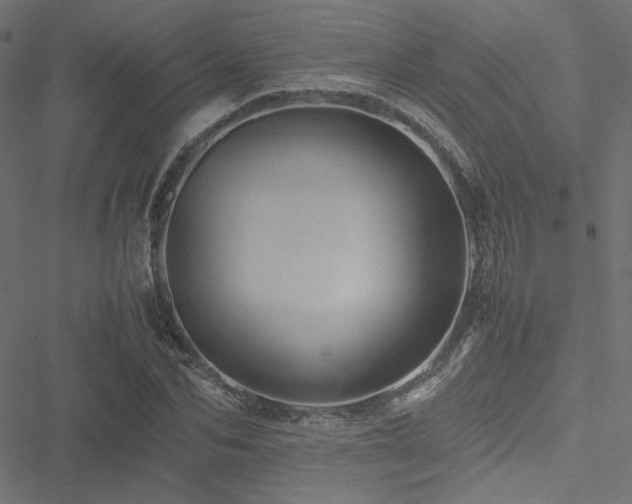 X0000051250974200506171131