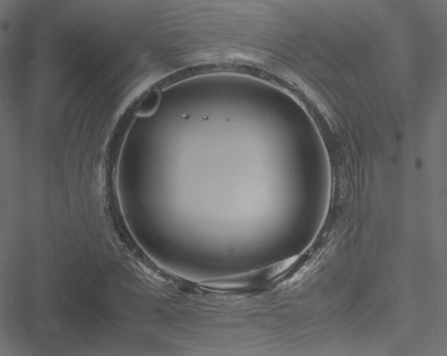 X0000051250975200506171131