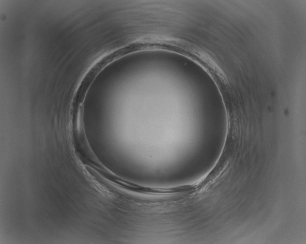 X0000051250976200506171131