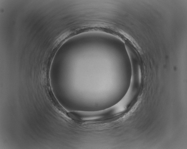 X0000051250977200506171131