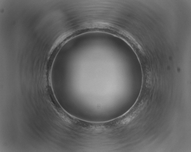 X0000051250978200506171131