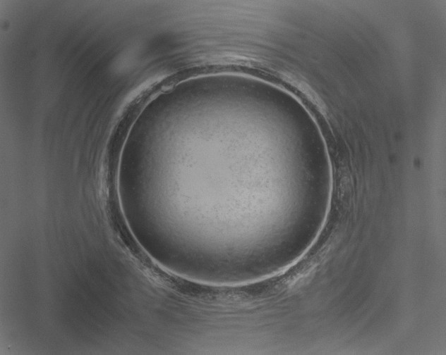 X0000051250979200506171131