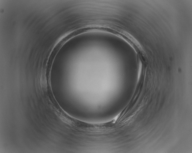 X0000051250980200506171131