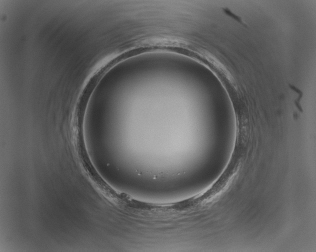 X0000051250981200506171131