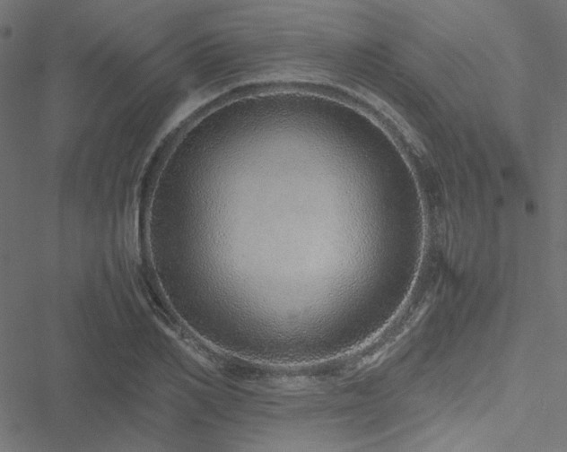 X0000051250982200506171131