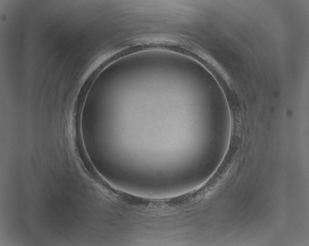 X0000051250983200506171131