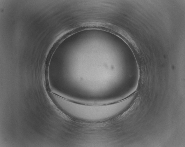 X0000051250984200506171131