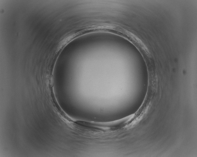 X0000051250985200506171131