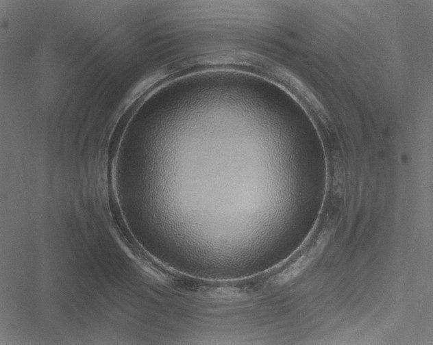 X0000051250986200506171131