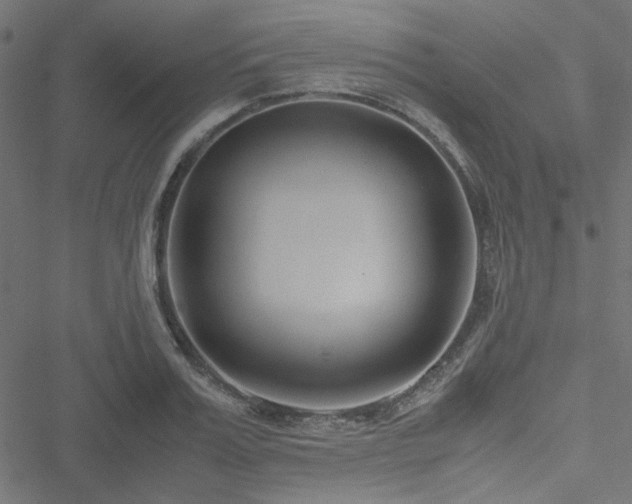 X0000051250987200506171131