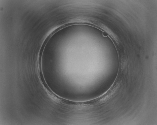 X0000051250988200506171131