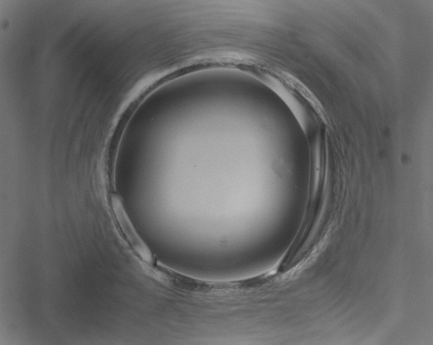 X0000051250989200506171131