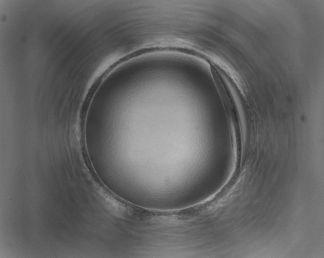 X0000051250990200506171131