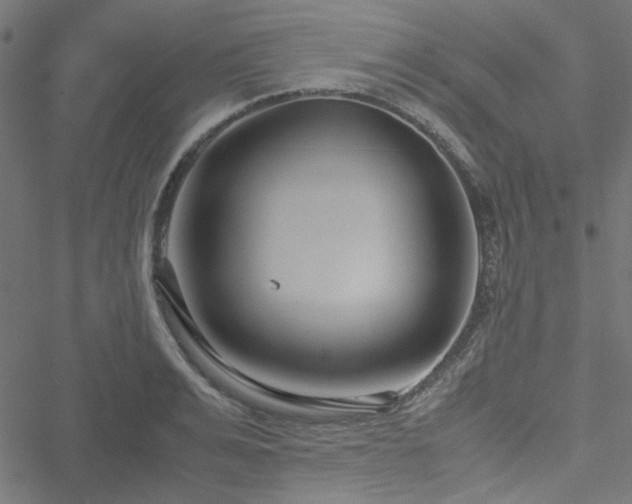 X0000051250991200506171131