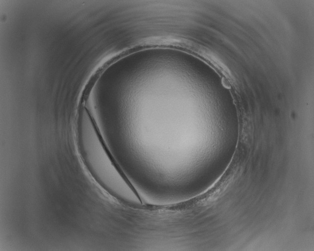 X0000051250992200506171131