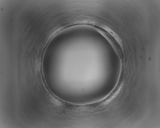 X0000051250993200506171131