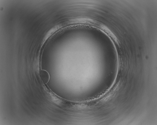 X0000051250994200506171131