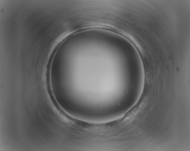 X0000051250995200506171131