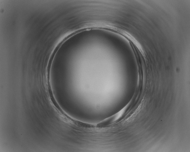 X0000051250996200506171131