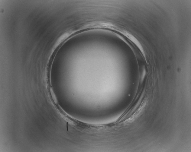 X0000051250997200506171131