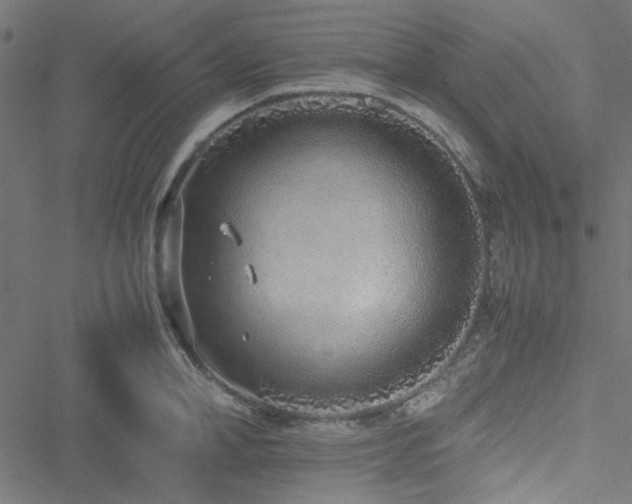 X0000051250998200506171131