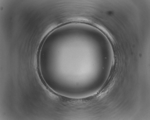 X0000051250999200506171131