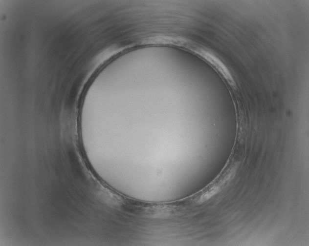 X0000051251000200506171131