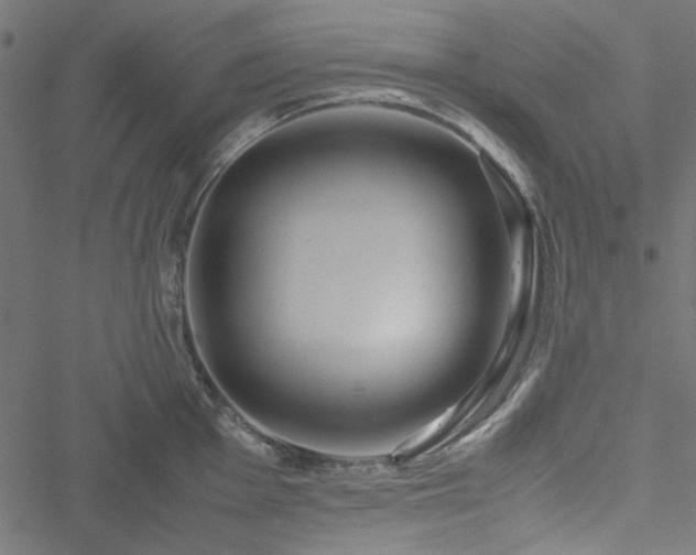 X0000051251001200506171131