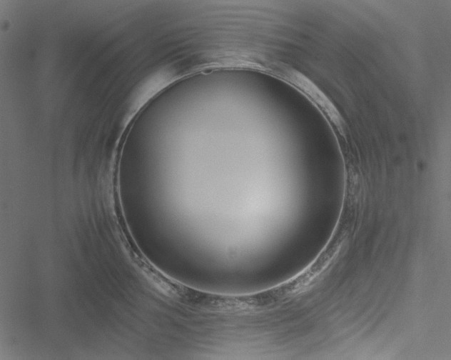 X0000051251002200506171131