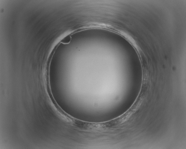 X0000051251003200506171131