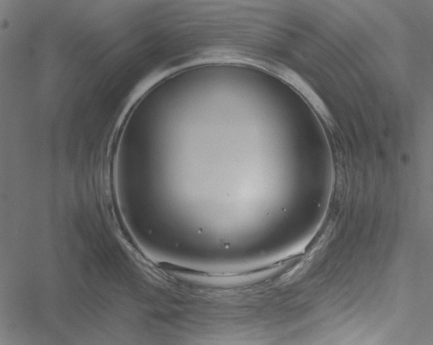 X0000051251004200506171131