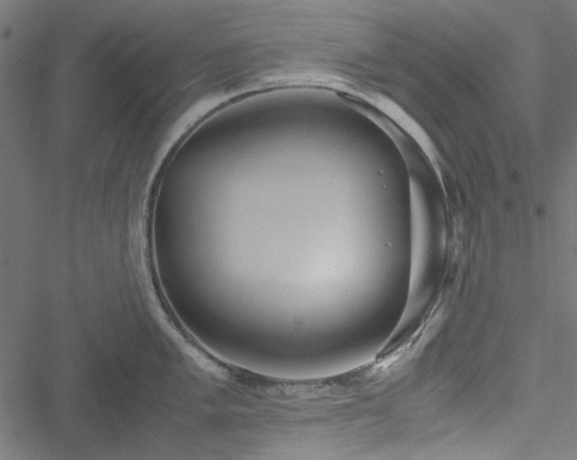 X0000051251005200506171131